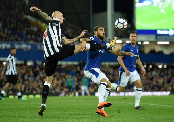 高了球员品 高了球员品